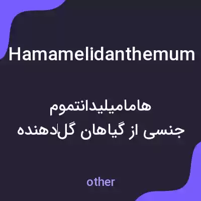 معنی hamamelidanthemum به فارسی معنی hamamelidanthemum به فارسی
