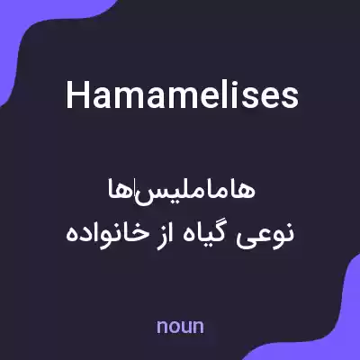 معنی hamamelises به فارسی معنی hamamelises به فارسی