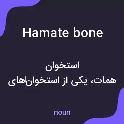 معنی hamate bone به فارسی