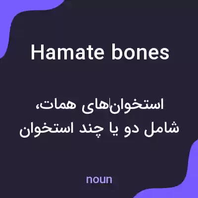 معنی hamate bones به فارسی