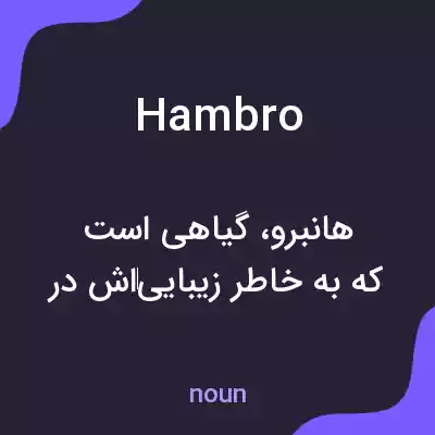 معنی hambro به فارسی معنی hambro به فارسی