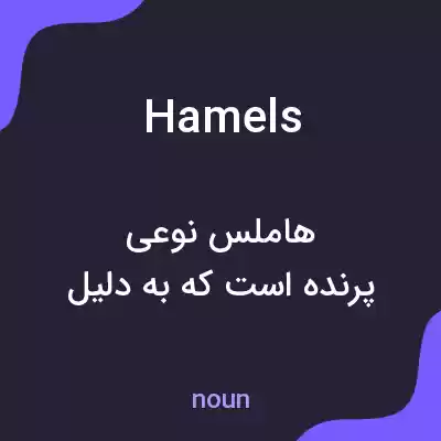 معنی hamels به فارسی معنی hamels به فارسی
