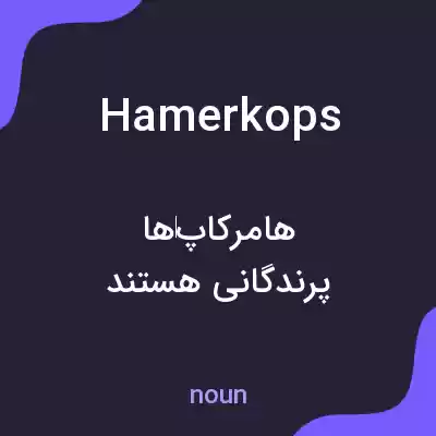 معنی hamerkops به فارسی معنی hamerkops به فارسی