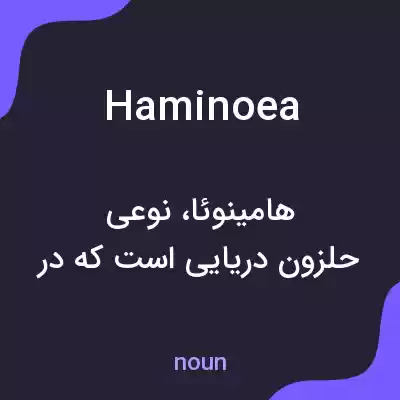 معنی haminoea به فارسی معنی haminoea به فارسی