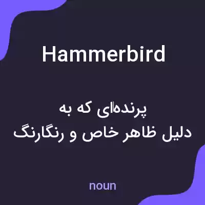 معنی hammerbird به فارسی معنی hammerbird به فارسی