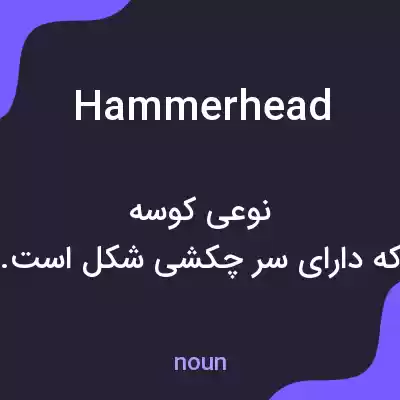 معنی hammerhead به فارسی