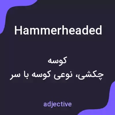 معنی hammerheaded به فارسی معنی hammerheaded به فارسی