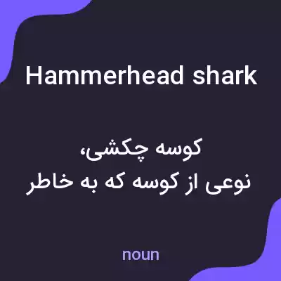 معنی hammerhead shark به فارسی معنی hammerhead shark به فارسی