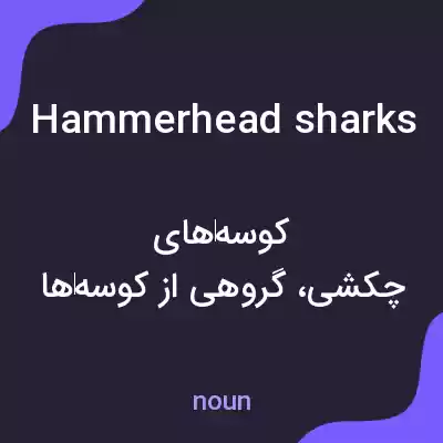 معنی hammerhead sharks به فارسی معنی hammerhead sharks به فارسی