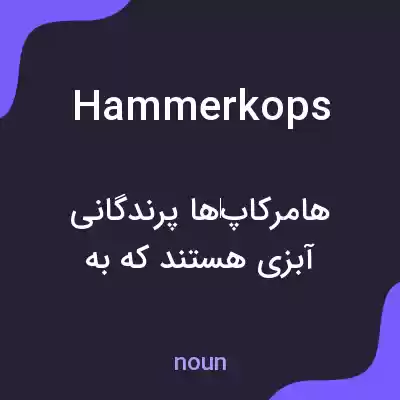 معنی hammerkops به فارسی معنی hammerkops به فارسی