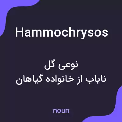 معنی hammochrysos به فارسی معنی hammochrysos به فارسی