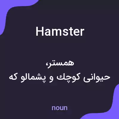 معنی hamster به فارسی معنی hamster به فارسی