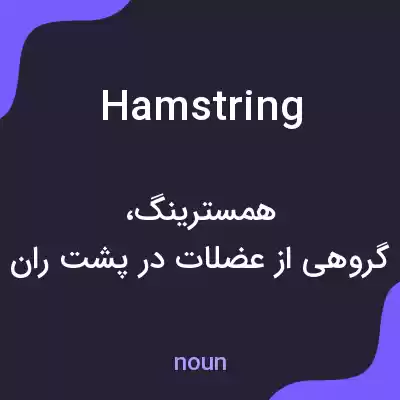 معنی hamstring به فارسی معنی hamstring به فارسی