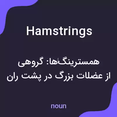 معنی hamstrings به فارسی معنی hamstrings به فارسی