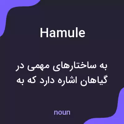 معنی hamule به فارسی معنی hamule به فارسی