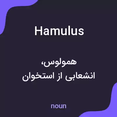 معنی hamulus به فارسی معنی hamulus به فارسی