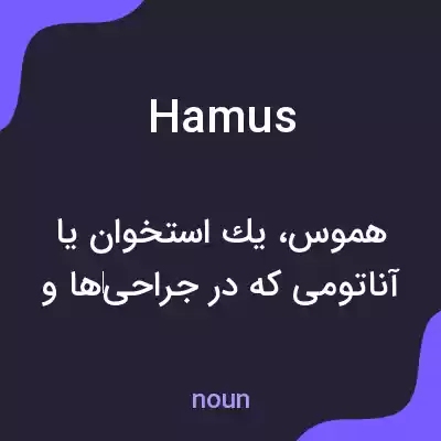 معنی hamus به فارسی معنی hamus به فارسی