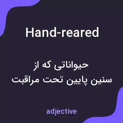 معنی hand-reared به فارسی معنی hand-reared به فارسی