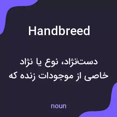 معنی handbreed به فارسی معنی handbreed به فارسی