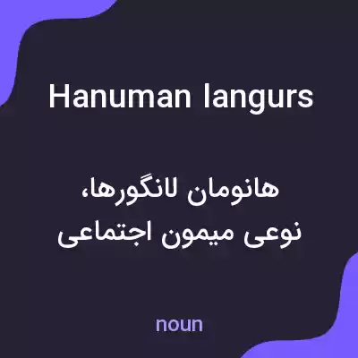 معنی hanuman langurs به فارسی معنی hanuman langurs به فارسی