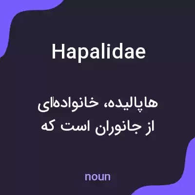 معنی hapalidae به فارسی معنی hapalidae به فارسی