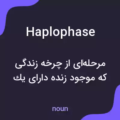 معنی haplophase به فارسی