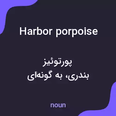 معنی harbor porpoise به فارسی معنی harbor porpoise به فارسی