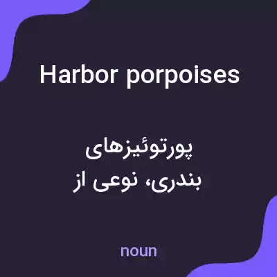 معنی harbor porpoises به فارسی معنی harbor porpoises به فارسی