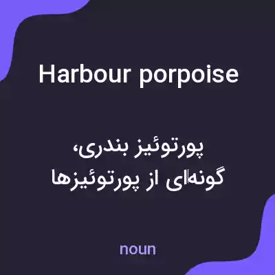 معنی harbour porpoise به فارسی معنی harbour porpoise به فارسی