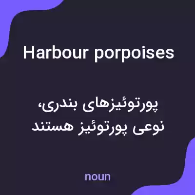 معنی harbour porpoises به فارسی معنی harbour porpoises به فارسی