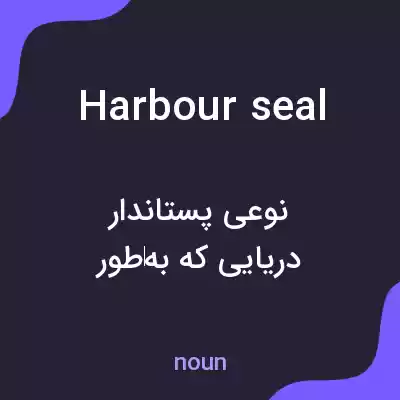 معنی harbour seal به فارسی