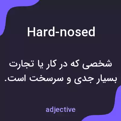 معنی hard-nosed به فارسی معنی hard-nosed به فارسی