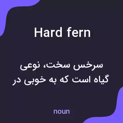 معنی hard fern به فارسی