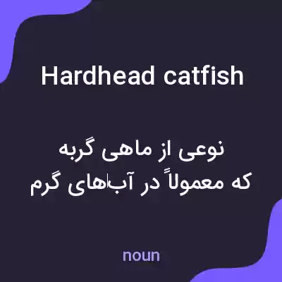 معنی hardhead catfish به فارسی معنی hardhead catfish به فارسی