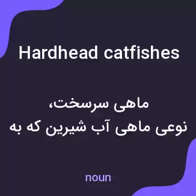 معنی hardhead catfishes به فارسی معنی hardhead catfishes به فارسی