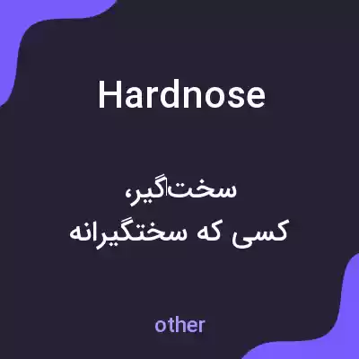 معنی hardnose به فارسی معنی hardnose به فارسی