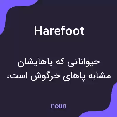 معنی harefoot به فارسی معنی harefoot به فارسی