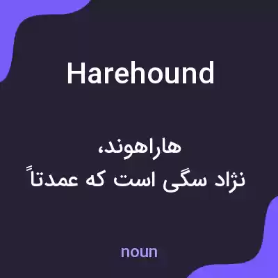معنی harehound به فارسی معنی harehound به فارسی