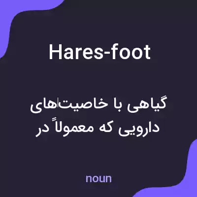 معنی hares-foot به فارسی معنی hares-foot به فارسی