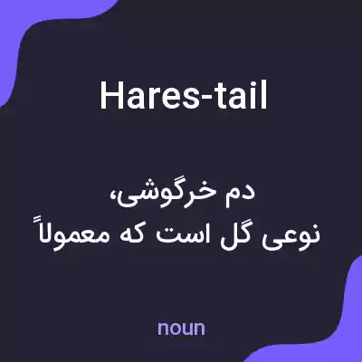 معنی hares-tail به فارسی معنی hares-tail به فارسی
