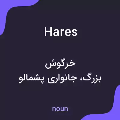 معنی hares به فارسی