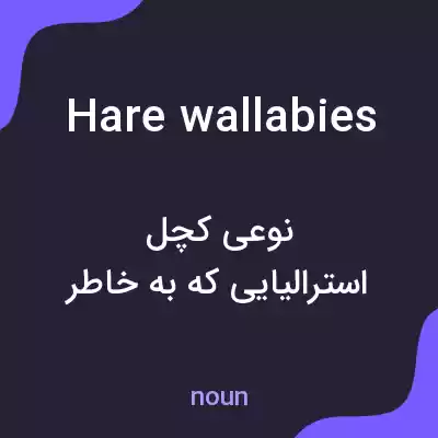 معنی hare wallabies به فارسی معنی hare wallabies به فارسی