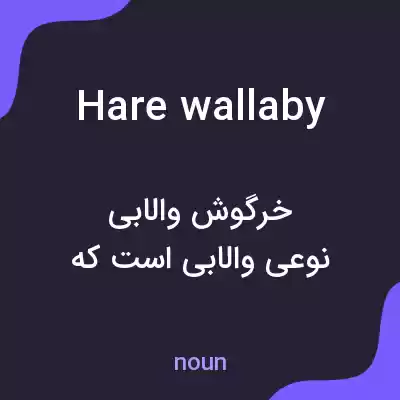 معنی hare wallaby به فارسی معنی hare wallaby به فارسی