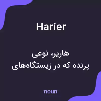 معنی harier به فارسی معنی harier به فارسی
