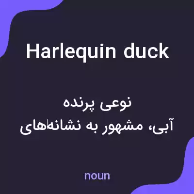 معنی harlequin duck به فارسی معنی harlequin duck به فارسی