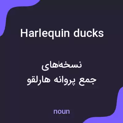 معنی harlequin ducks به فارسی معنی harlequin ducks به فارسی