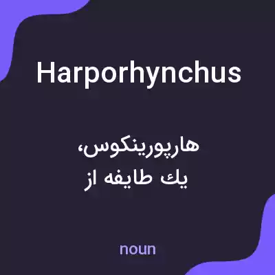 معنی harporhynchus به فارسی معنی harporhynchus به فارسی