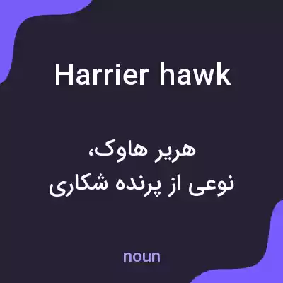 معنی harrier hawk به فارسی معنی harrier hawk به فارسی