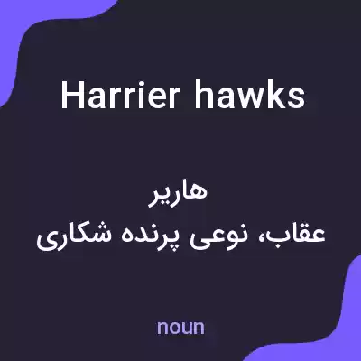 معنی harrier hawks به فارسی معنی harrier hawks به فارسی