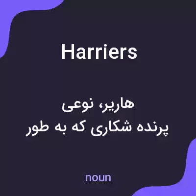 معنی harriers به فارسی معنی harriers به فارسی